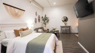 *New* La Catrina 1 Bed & Bath Mount Vernon - Mount Vernon - 9