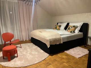 Familiennest Blaustein-Ulm Hunde auf Anfrage - Blaustein - 1