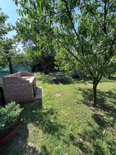 Holiday home in Sagvar - Südtransdanubien 53171 - Ságvár - 5