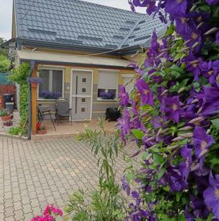 Holiday home in Sagvar - Südtransdanubien 53171 - Ságvár - 4