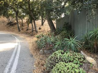 Sparkling Gem Set Between Mountain and Ocean - Topanga - 5