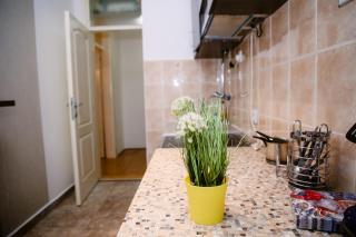 Aleksandar the Great - 6