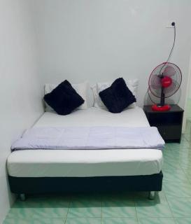 pseudofijians bnb - Suva - 9