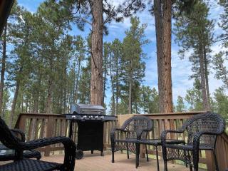 Black Hills Nature Retreat, Centrally Located - 7