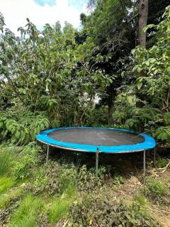 The Mt Nebo Green House - 6