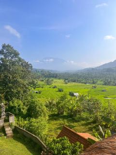 Villa Lumbung Ayu Sari & Spa - Karangasem - 9