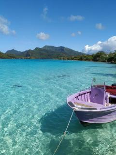 MOTU LODGE Bungalow - Huahine - 3