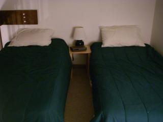 Fraser Condo for Xmas-New Years, 1B and loft, 1 Bath, Sleeps up to 4 - 5