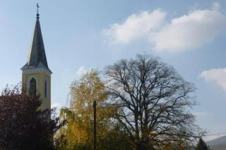 Vadszőlő Vendégház - 4