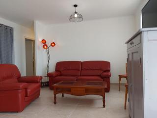 Maison familiale au calme avec jardin et barbecue - FR-1-581-144 - - 5