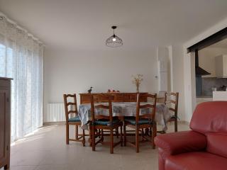 Maison familiale au calme avec jardin et barbecue - FR-1-581-144 - - 4