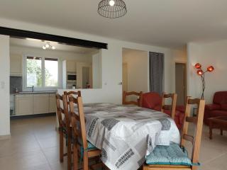 Maison familiale au calme avec jardin et barbecue - FR-1-581-144 - - 1