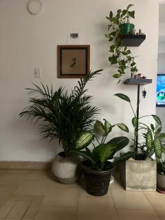 habitación - Cartago - 9