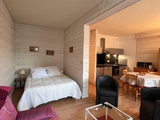 Grand Studio Centre Ville 4-6 Pers, Parking Proche - FR-1-234-332 - Cauterets - 6