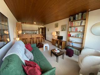 Studio cosy pour 2 personnes proche des pistes, vue sur les Aravis - FR-1-733-157 - 0