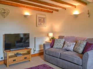 Alpine Cottage - Carperby - 5