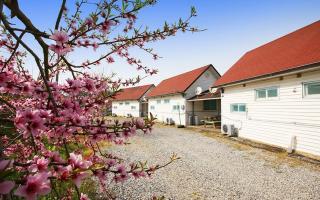 Taean Sujung Pension - Taean - 6