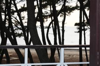 Sarangiimeomuneunjip Pension - Taean - 1