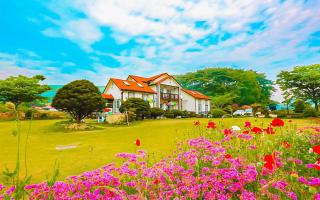 Anmyeondo Chingunae Pension - Taean - 8