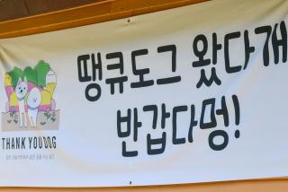 Thank you dog pet pension - Gapyeong - 3