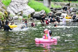Gapyeong Yongchu Valley Travel Pension - Gapyeong - 3