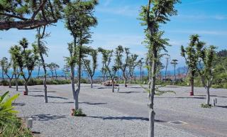 Padowa Noeul Camping - Taean - 6