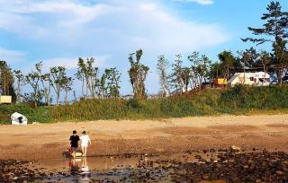 Padowa Noeul Camping - Taean - 3