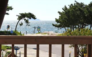 Silver Glowing Sea Pension - Taean - 0