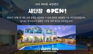 Geojedo Glam Dog Pension Warm Water Pool Villa - Geoje - 8
