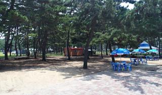 Mongsanpohaebyeon Pension - Taean - 4