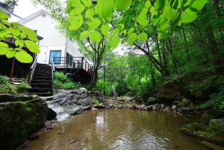 Forest Squirrel Pension - Gapyeong - 8