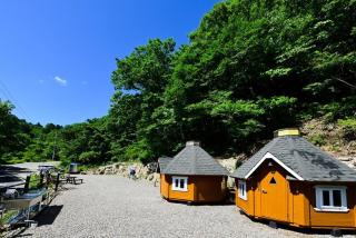 Forest Squirrel Pension - 1