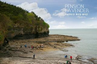 Buan Lavender Pension - Buan - 1