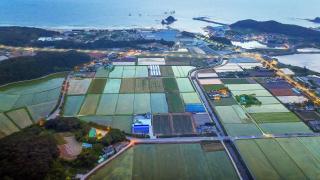 Kkotjipureunsol Pension - Taean - 4