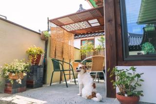 Happiness on Jacuzzi Private Pension - Jeonju - 7