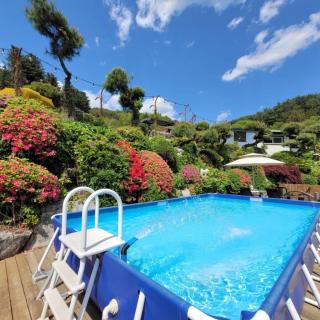 Gapyeong Petmily Dog Pension - 5