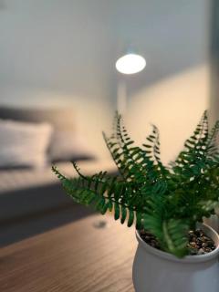 Simple & Sweet Mango Hill Home - Big Patio - 9