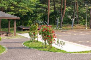 Gangneung Yasaenghwa Maeul - Gangneung - 5