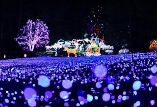 Gapyeong Ttongkkodeuruisuda Pension - 9