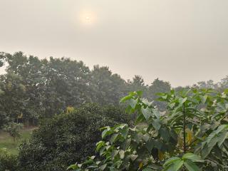 Nature Homestay - Varanasi - 2