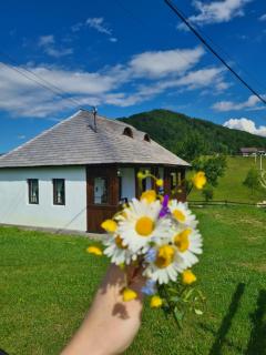Casa Bunicilor Ciocanu - Rucăr - 9