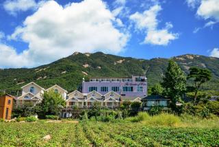 Eden's Gardens Pension - Incheon - 7