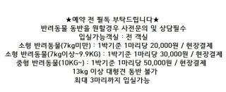 Ganghwa Teo Pension - Incheon - 6