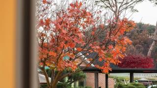 Pocheon Sanulteo Pension - 1