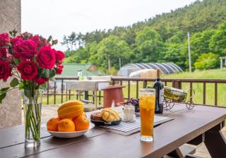 Taean Gana Pension Pet friendly - 4