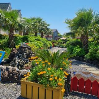 Joy Pingble House - 2