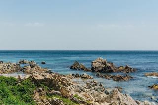 Sea Bird Bed and Breakfast - Yeongdeok - 1