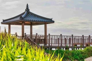 Baliore Family - Pohang - 3
