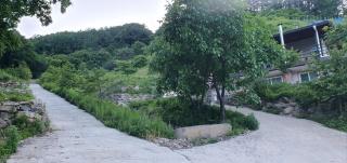 Cheoli and Miae - Yeongju - 7
