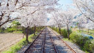 Namiseom 2020 Spa Poolvilla - 3